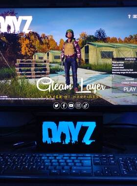 亚马逊 dayz创意灯箱夜灯游戏周边led灯气氛灯家居装饰
