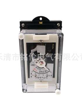 DY-31 32 33 34 35 36 37 38电压继电器交流100V整定160V200V400V