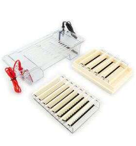 DYCP-32B型琼脂糖水平电泳仪(中号) 六一 仪器