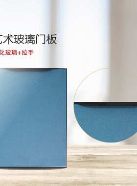 2021款艺术玻璃门板   玻璃柜门