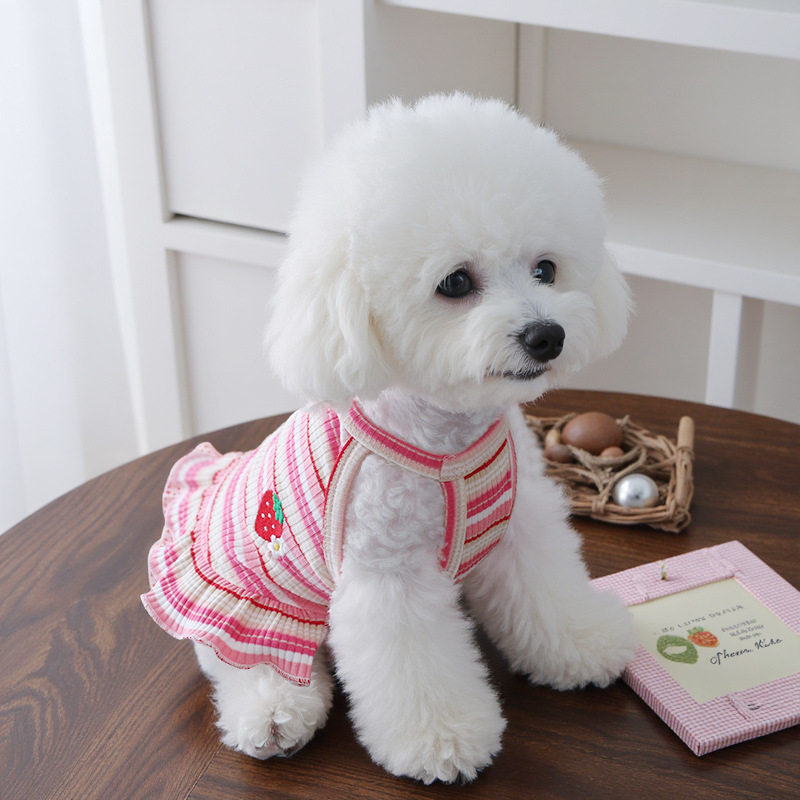 狗狗衣服夏季吊带裙贵宾夏装吊带小狗小型犬条纹背心裙宠物两脚衣
