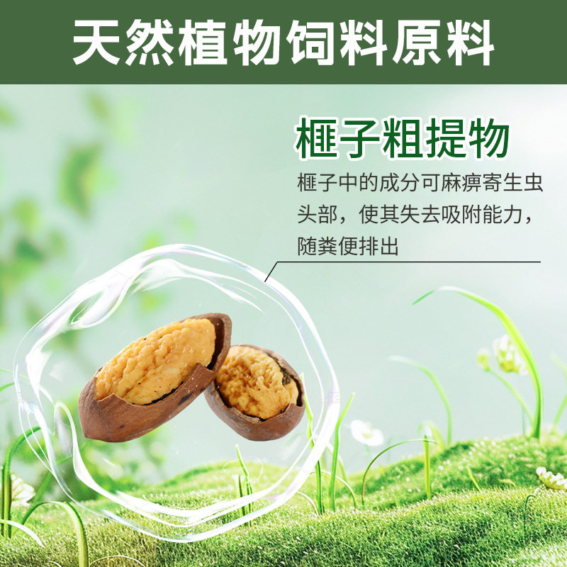 鹦鹉全崇清鹦鹉养殖问题食欲不振发育缓慢间歇腹泻