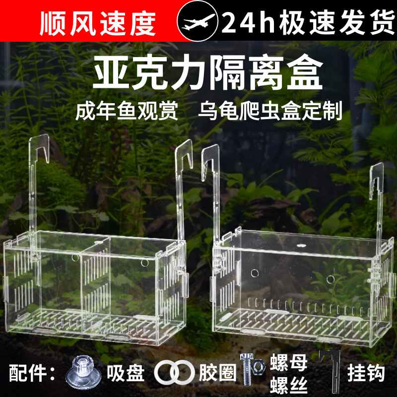 鱼缸隔离盒斗鱼分隔盒水培绿植水草亚克力篮繁殖箱繁殖盒水族