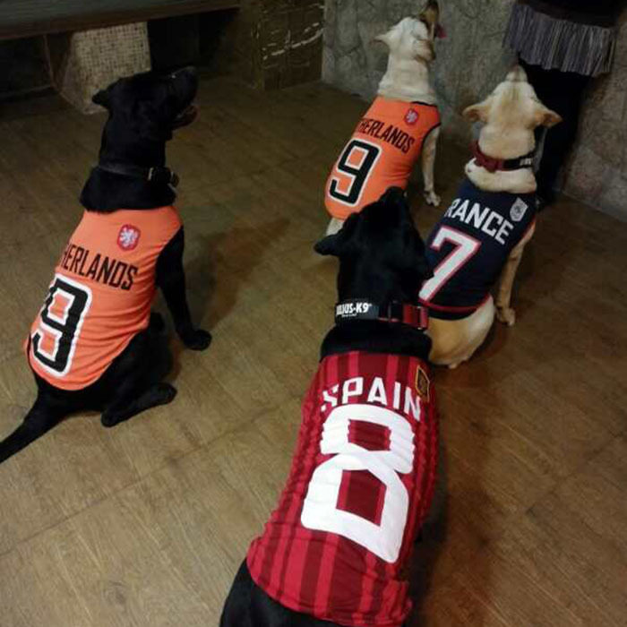 大型犬狗狗衣服大狗幼犬网眼背心球服薄款足球世界杯宠物服饰代发