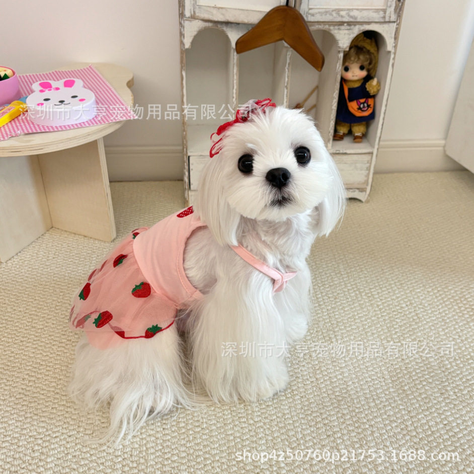 亚马逊新款热销草莓雏菊纱裙爆款狗狗衣服公主风宠物裙子跨境