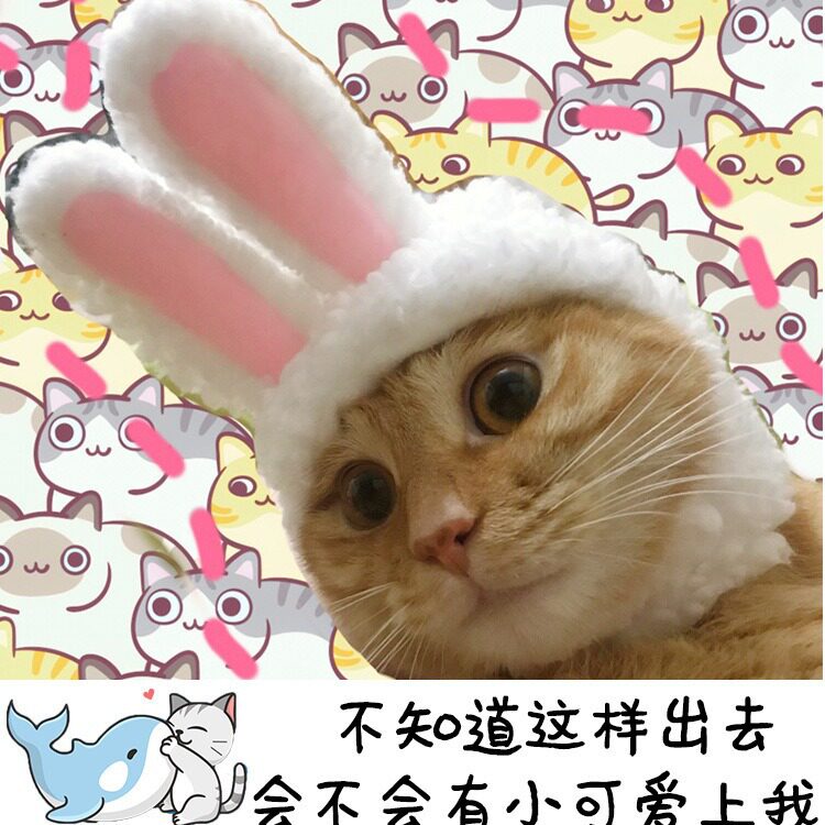 跨境耳朵可立猫咪头套可爱兔子变装帽猫头饰表演道具搞笑宠物帽子