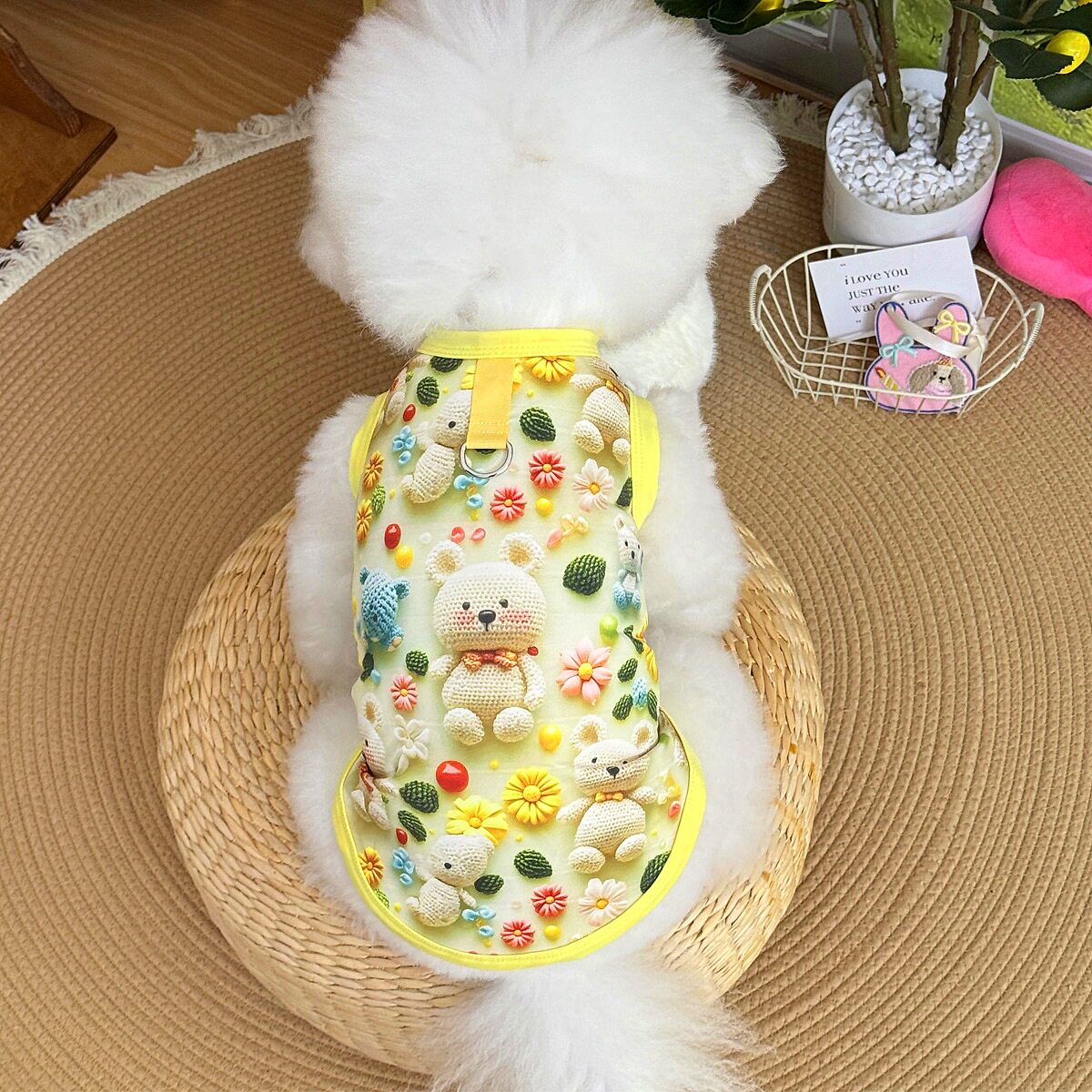 新款宠物衣服猫咪狗狗服饰立体印花可爱风丝滑透气亲肤防掉毛春装