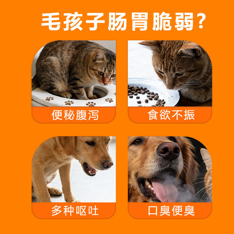 跨境宠物益生菌肠胃调理拉稀呕吐腹泻猫狗用狗狗粉宠物益生菌图片