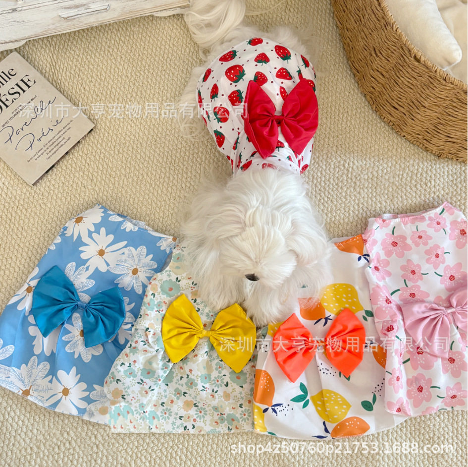 网红春夏款狗狗裙子小中型犬泰迪猫咪宠物衣服可爱狗狗裙可爱风