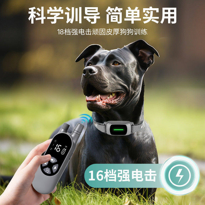 防止狗叫遥控止吠器狗狗电击项圈大型小型犬宠物防叫扰民训狗用品