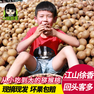 二妞正宗江山徐香弥猕猴桃带箱5斤水果新鲜当季整箱大绿心奇异果