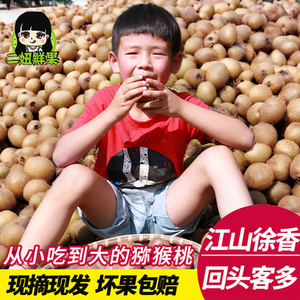 二妞正宗江山徐香弥猕猴桃带箱5斤水果新鲜当季整箱大绿心奇异果