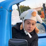 Милая мультяшная девушка с сердцем, плюшевые забавные открытые крылья, большой белый гусь, утка, головной убор, шляпа, реквизит для фотовыступления