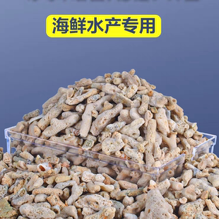 天然珊瑚骨滤材鱼缸过滤材料净水珊瑚石净化珊瑚砂鱼缸滤材