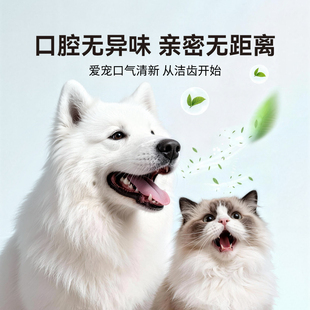 益生菌洁齿水猫咪亮白洁牙宠物狗狗清新口气清洁口腔漱口水