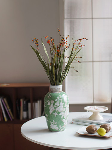 干花火焰兰真植物耐放