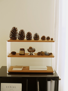 天然松果圣诞装 饰金色银色混合DIY材料干花摆件幼儿园手工