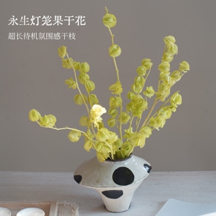永生灯笼果风铃果干花超长待机氛围感干枝玄关家居店铺装饰插真花