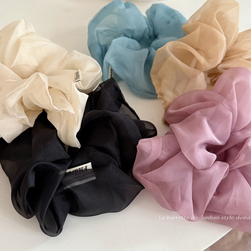 韩国轻纱大号大肠圈新款春天百搭日常马尾发饰头绳发绳发圈新款发,饰品/流行首饰/时尚饰品新,发饰,淘宝优惠券,粉丝福利购,淘宝优惠卷