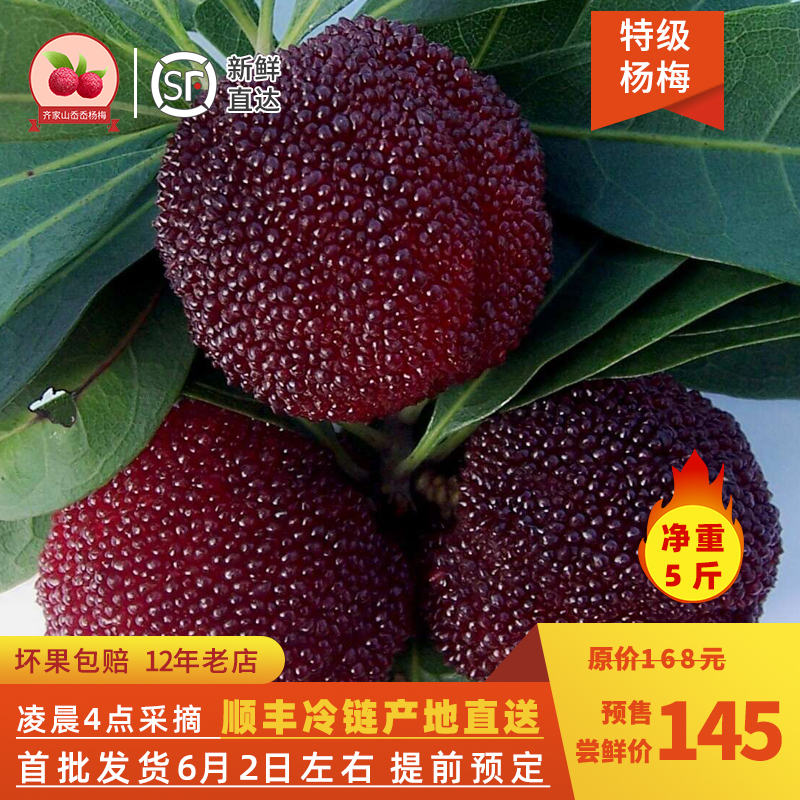 新鲜特级余姚杨梅荸荠富硒现摘现发非仙居凌晨4点摘净5斤顺丰包邮