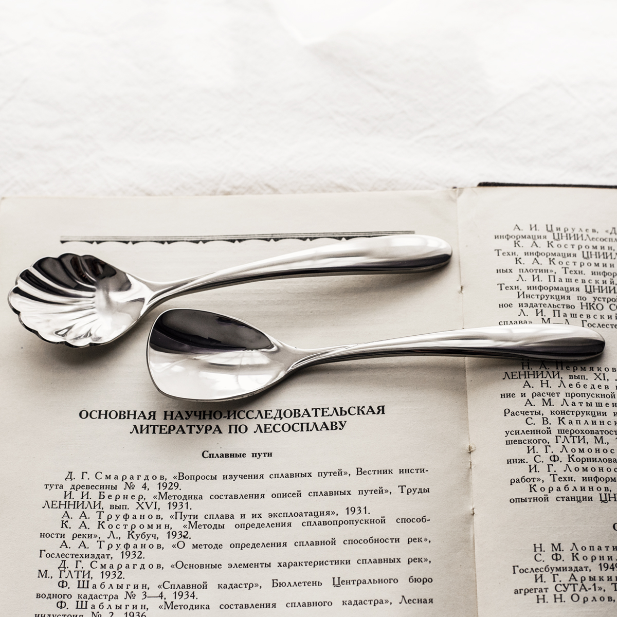 平头/贝壳勺costa精致抛光