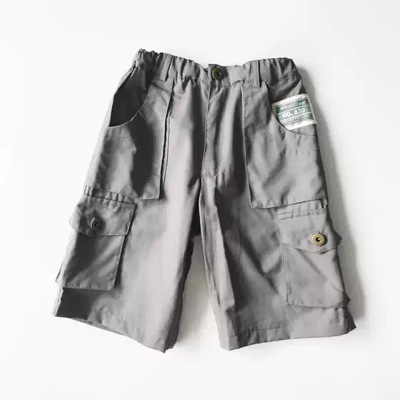 Nordic Style Boys' Spring and Summer Stylish Wide-Leg Pants, Cropped Cargo Pants for Small and Medium-Sized Children, Cool and Trendy for Chubby Babies 1022