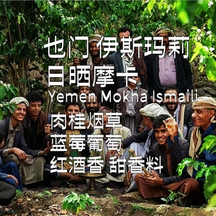 手冲咖啡豆咖啡巴士也门日晒摩卡SOE单品咖啡227克下单新鲜烘焙豆