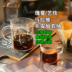 咖啡巴士马拉维卡安加农场瑰夏227克下单新鲜烘焙单品手冲咖啡豆