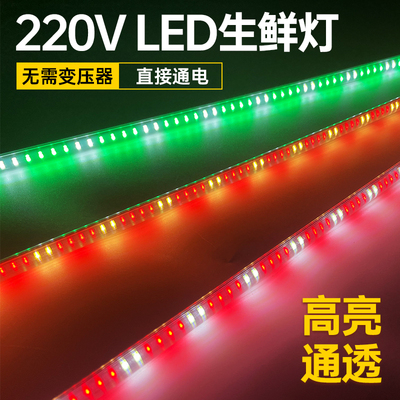 led生鲜熟食灯超市猪肉水果220v