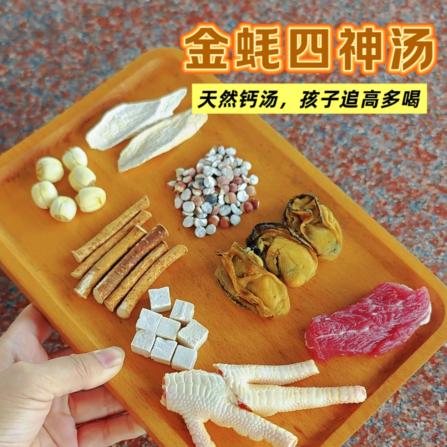 冬季金蚝干四神汤鸡脚排骨炖汤鸽子汤五指毛桃红枣莲子儿童成长汤