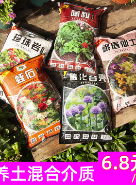 珍珠岩蛭石碳化基质兰花土