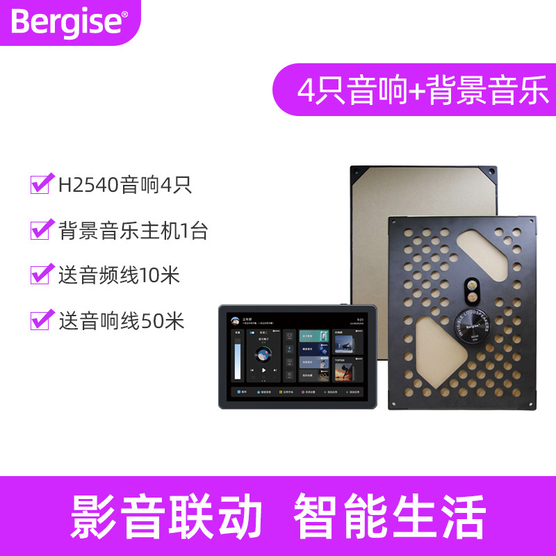 Bergise隐形喇叭音箱耐臣嵌入式壁挂音响简约黑科技会发声的墙