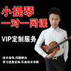 小提琴网络视频课一对一在线授课辅导定制教学计划解决方案热销