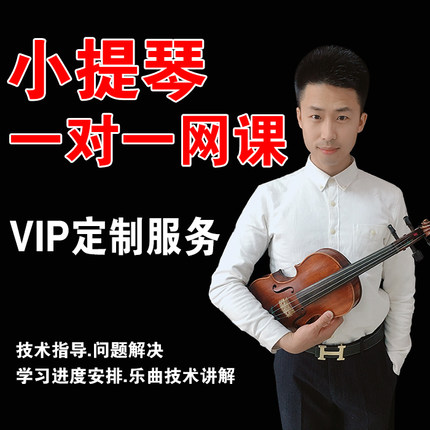 小提琴一对一在线授课辅导教学小提琴教师陪练网课热销