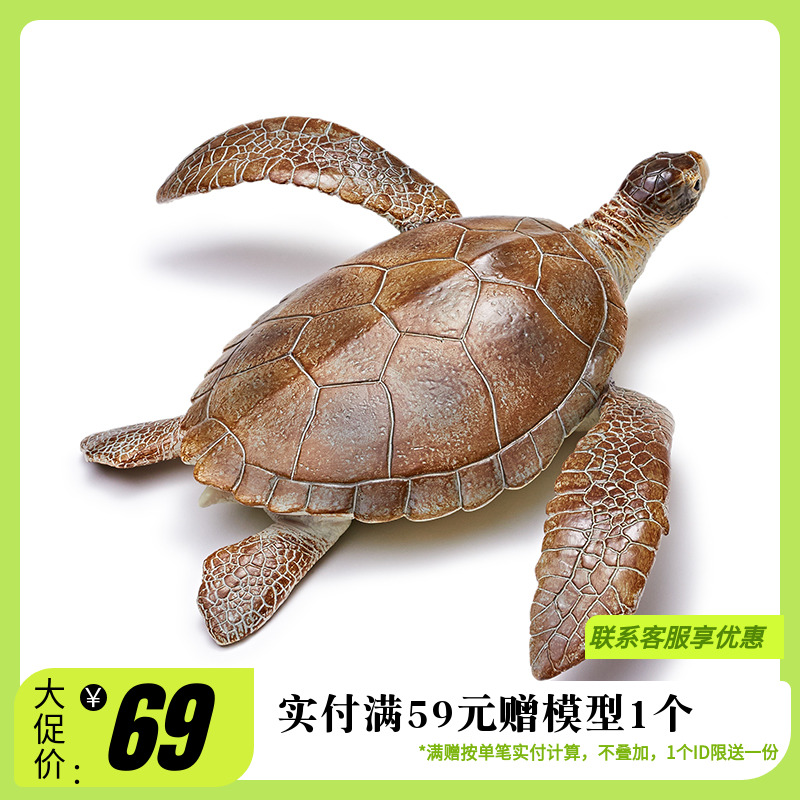 RECUR悦酷海龟玩具软胶儿童仿真海洋世界动物模型塑胶生物女