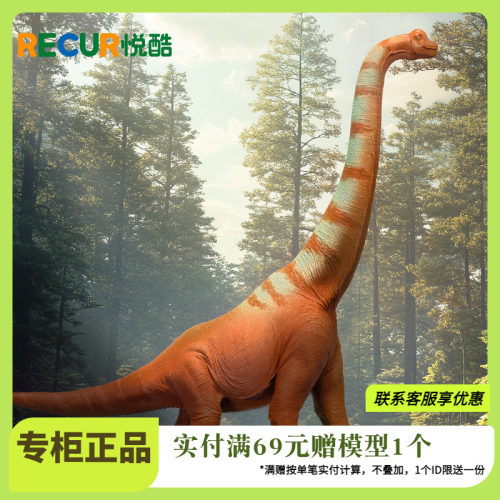腕龙RECUR悦酷仿真恐龙模型