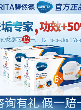 德国碧然德 滤芯brita滤水壶厨房净水器家用净水壶官方专家版滤芯