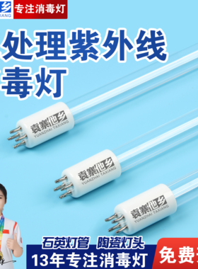 水处理紫外线杀菌消毒灯管单端四针过流式杀菌污水净化器紫光灯管