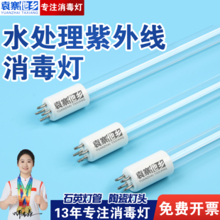水处理紫外线杀菌消毒灯管单端四针过流式杀菌污水净化器紫光灯管