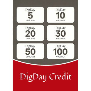 DigDay Credit
