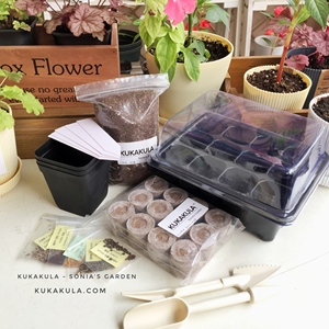 挪威进口捷菲育苗块-JIFFY-48个装选配育苗盒-随机送小工具