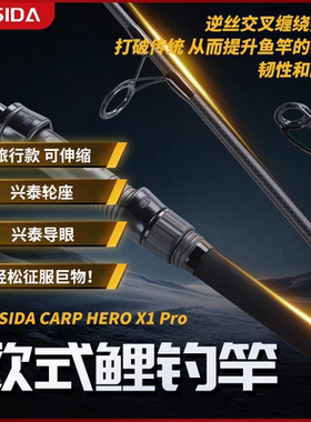 FEISIDA升级款 X1 PRO 欧鲤杆 3米3.5磅两节伸缩远投海杆超硬高碳