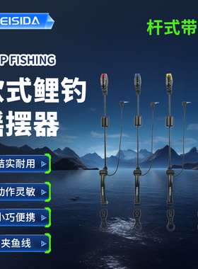 FEISIDA FL-6 欧鲤钓带灯摇摆器 远投四套装带包摇摆器压线器新品