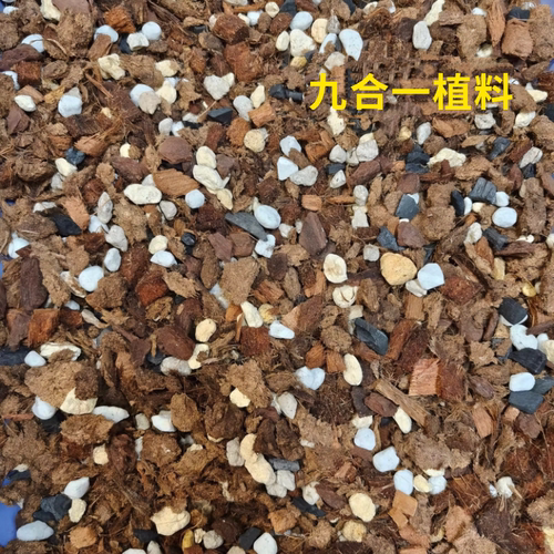 天南星科绿植盆栽营养土兰花蝴蝶兰颗粒植料高配通用土热植花土