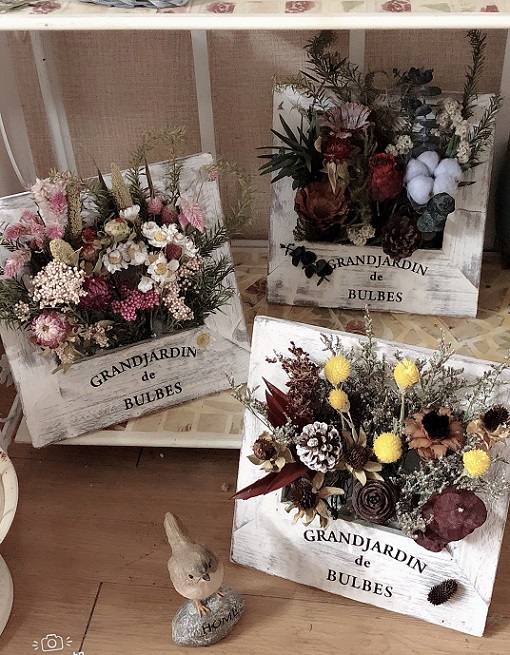 南非太阳菊米果丹斯diy干花花艺