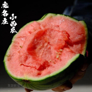 大兴庞各庄小西瓜礼盒装新鲜吊秧头茬西瓜水果L600
