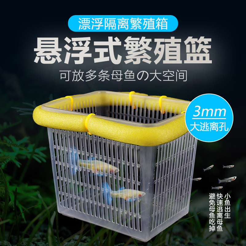 孔雀鱼繁殖盒漂浮隔离