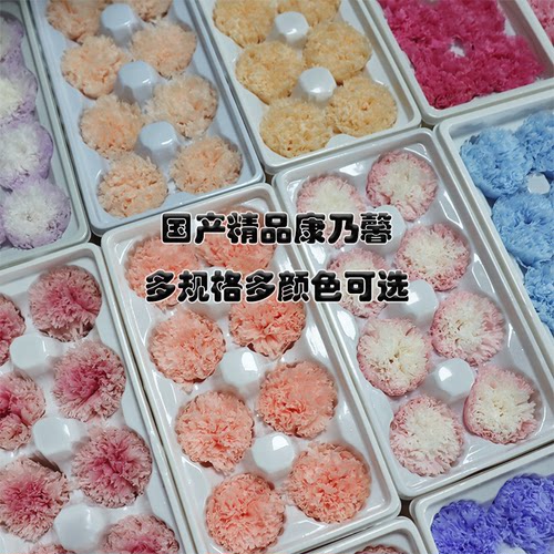 母亲节diy花束礼物康乃馨3-4-5cm永生花干花教师节礼盒玻璃罩摆台