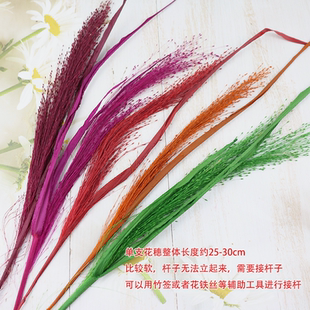 梦幻草喷泉草永生花diy花束婚礼花艺礼盒配草ins拍照道具室内造景