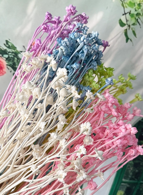 相思梅干花DIY花束永花戒指插花